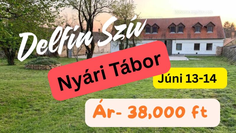 Delfin Szív Önfejlesztő Nyári Tábor 2 és fél napos